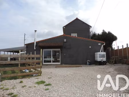 vente maison 4 pièces 158 m² bissezeele (59380)