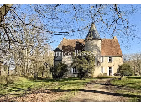 vente manoir 12 pièces 600 m² à argenton-sur-creuse (36200)  880 000 €