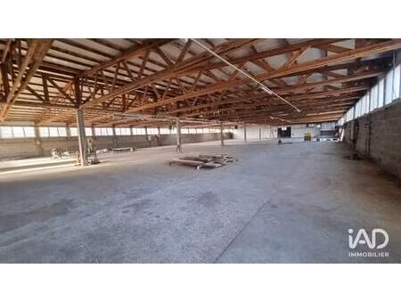 local d'activités à louer