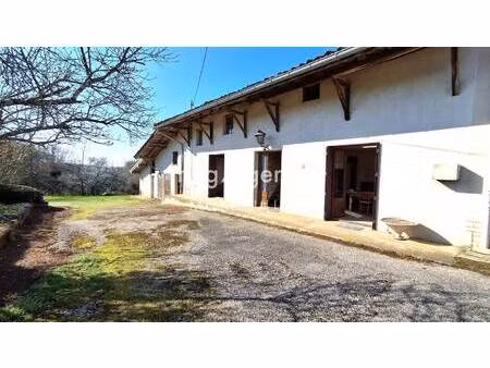 michael guillot consultant megagence