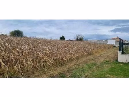 terrain constructible viabilisé à vendre