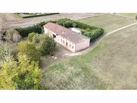 idéal promoteur 10 minutes de fronton  ferme avec piscine et dépendances !!! 4660 m² de te