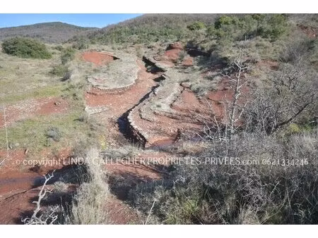 vente terrain 44 350 m²