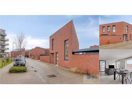 maison à vendre avec terrasse et jardin   deurne (rbv45833)