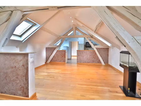 troyes - proche hyper centre - appartement t3 renove avec pa