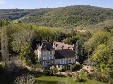 vente maison 15 pièces 550 m² à montignac (24290)  1 490 000 €