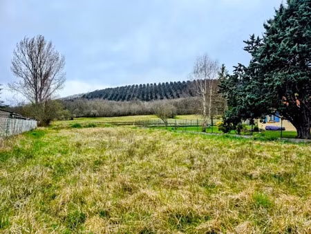 vente terrain 2647 m² à laroque-d'olmes (09600)  25 000 €