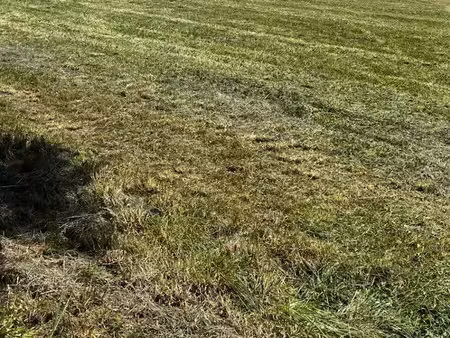 vente terrain 660 m² à saint-porchaire (17250)  42 000 €