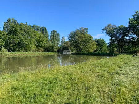 vente terrain 15196 m² à chatillon-sur-indre (36700)  22 400 €