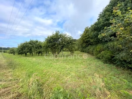 terrain agricole 12 000 m² avec verger de pommiers – nature et calme – nivillac