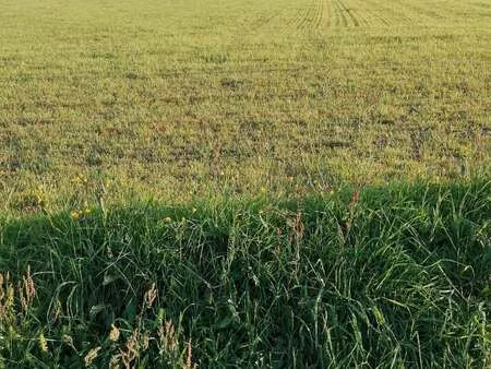 vente terrain à inguiniel (56240) : à vendre / inguiniel