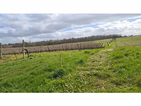 vente terrain 1600 m² à baigneaux (33760)  58 000 €