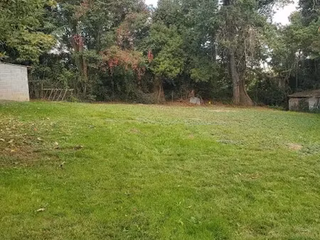 vente terrain à rieumes (31370)  65 000 €