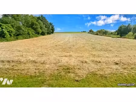 vente terrain à batir 1811 m² à cagnoncles (59161)  65 900 €