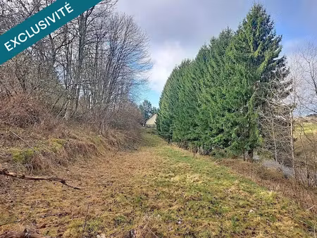 vente terrain à batir 1690 m² à bourg-bruche (67420)  61 000 €
