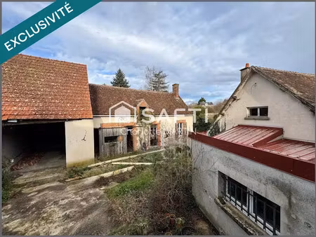 vente immeuble 400 m² à saint-georges-sur-la-pree (18100)  61 000 €