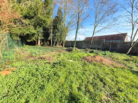 terrain à bâtir esquerchin 477m²