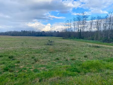 vente terrain 610 m² à landiras (33720)  84 500 €