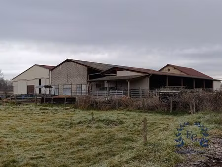 maison à vendre saint-germain-lespinasse