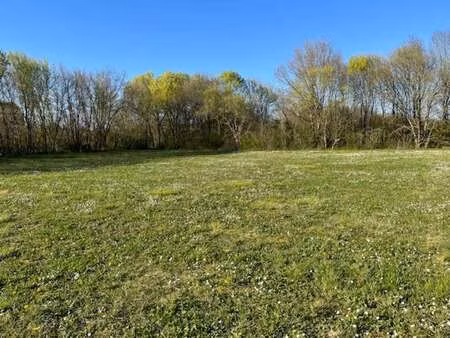 vente terrain à loulay (17330) : à vendre / 2020m² loulay