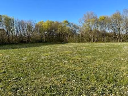 vente terrain à loulay (17330) : à vendre / 3840m² loulay