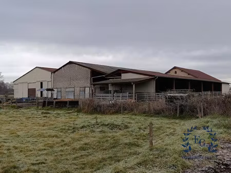 vente ferme 6 pièces 137 m² à saint-germain-lespinasse (42640)  350 000 €