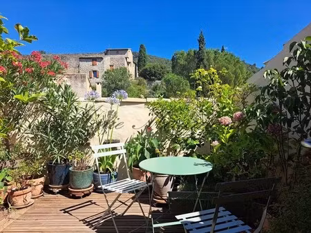 hôtel particulier vaison-la-romaine - 7 chambres - 340m²