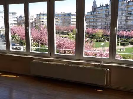 appartement 2 chambres  spacieux et lumineux