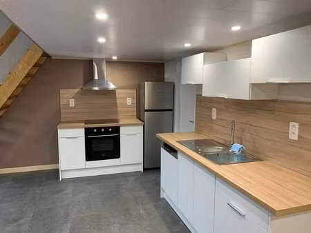 appartement rénové avec mezzanine & terrasse