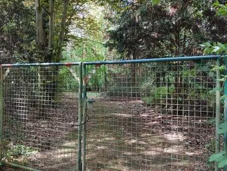 parcelle de terrain boisé à vendre à tremelo (4.056 m²)