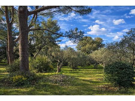 vente terrain  2900.00m²  villeneuve