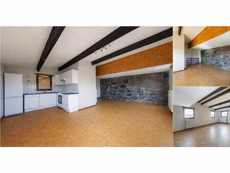 duplex à vendre avec garage et terrasse   belgrade (vbd98118)