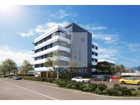 achat local professionnel 425m² echirolles 38130