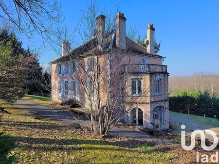 vente maison 11 pièces 318 m² saint-pantaléon-de-larche (19600)