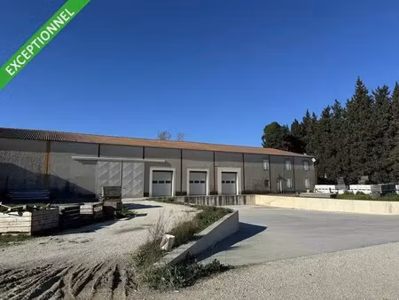vente local d’activités chateaurenard 13160 800m²