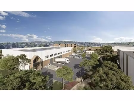 vente local d'activités 470 m²