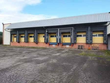 vente entrepôt mattaincourt 88500 12903m²