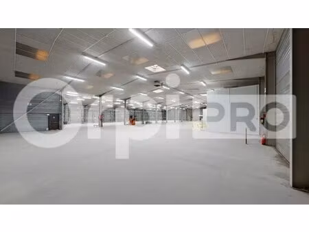 vente entrepôt saint quentin fallavier 38070 4360m²