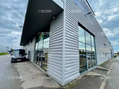 vente local d’activités lampertheim 67450 950m²