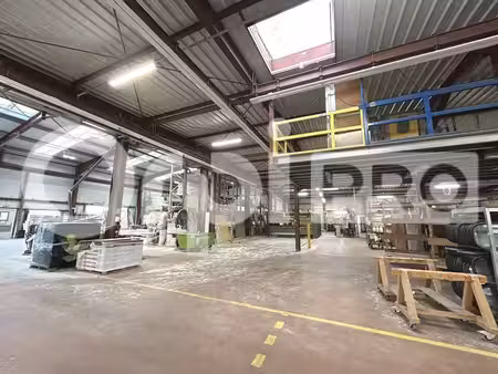 vente local d’activités peyrat-le-château 87470 2892m²