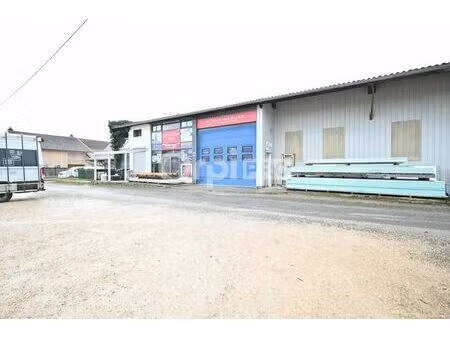 vente local d'activités 243 m² à 625 m²