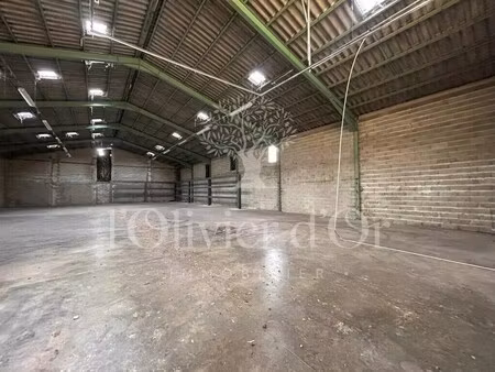 vente entrepôt 560 m²