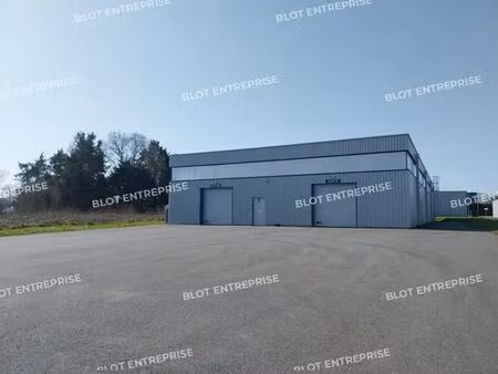 vente local d’activités allaire 56350 915m²