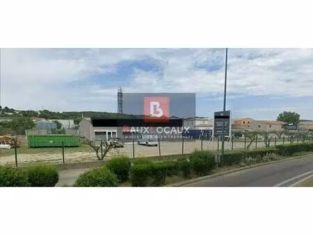 vente local d'activités 300 m²