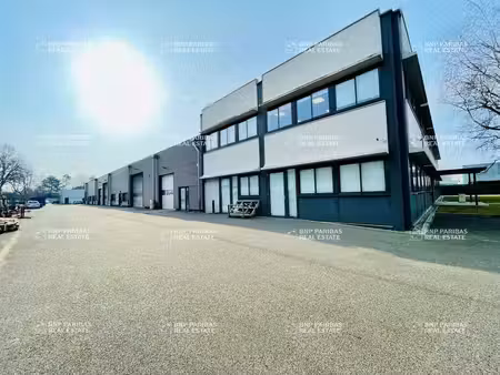 vente local d’activités bischheim 67800 436m² à 1321m²