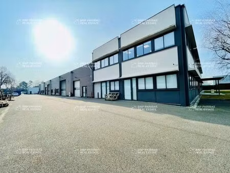 vente local d’activités bischheim 67800 885m²