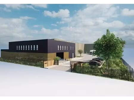 vente local d’activités genas 69740 200m² à 2000m²