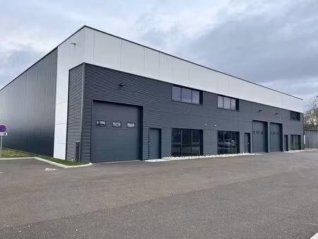 vente local d’activités souffelweyersheim 67460 391m²