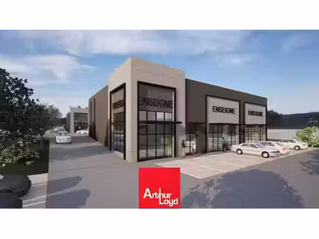 vente local d’activités frans 01480 211m²