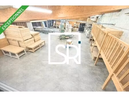 vente entrepôt chateaugay 63119 576m²